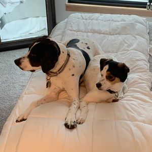 Meet your Posher, Patrick